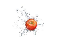 Crédence Splash tomate