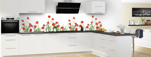 Crédence de cuisine Coquelicots Fond blanc panoramique en perspective