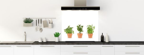 Crédence de cuisine Plantes en pot fond de hotte motif inversé