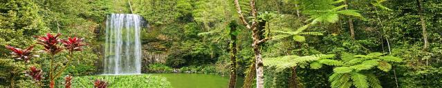 nature.jpg