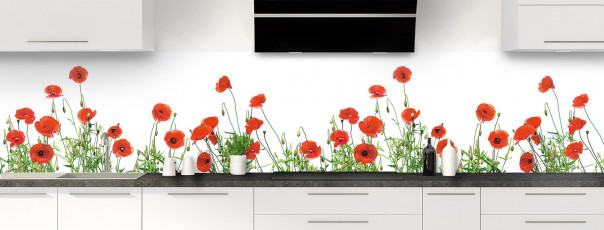 Crédence de cuisine Coquelicots Fond blanc panoramique motif inversé