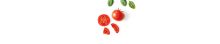 Crédence Tomate basilic
