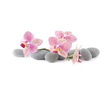 Crédence Galets et fleurs d'orchidée
