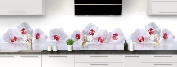 Crédence zen avec une photo d'une orchidée phalaenopsis aux fleurs blanches et aux fleurons