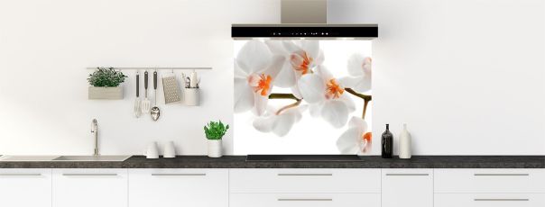 Fonds de hotte zen avec une photo d'une orchidée phalaenopsis aux fleurs blanches