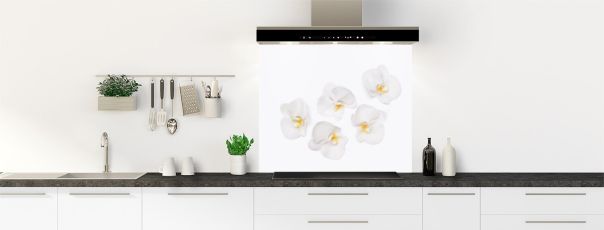 Fonds de hotte avec une photo zen de phalaenopsis, une orchidée aux fleurs magnifiques et aux fleurons élégants.