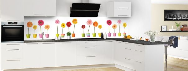 Crédence de cuisine Fleurs et pots colorés panoramique en perspective