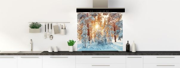 Photo de fonds de hotte avec une illustration de sapins enneigés dans une forêt