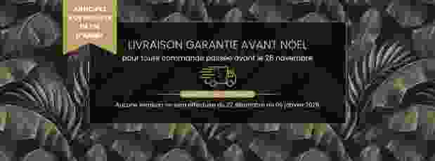 LIVRAISON AVANT NOEL