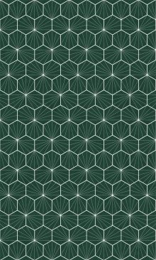 Crédence Carreaux de ciment hexagonaux