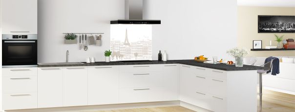 Crédence de cuisine Paris couleur Mulot fond de hotte en perspective