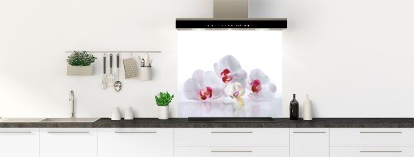 Fonds de hotte zen avec une photo d'une orchidée phalaenopsis aux fleurs blanches et aux fleurons élégants