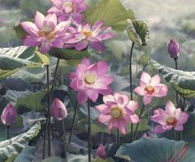 Crédence Fleur de lotus