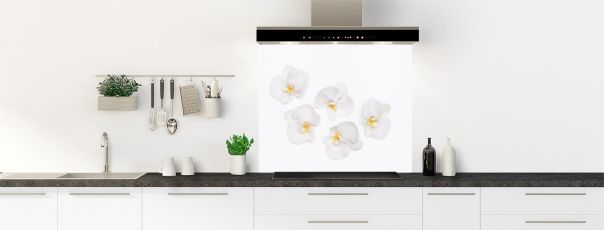 Crédence de cuisine Fleurons phalaenopsis fond de hotte motif inversé