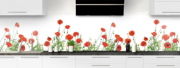 Crédence de cuisine Coquelicots Fond blanc panoramique