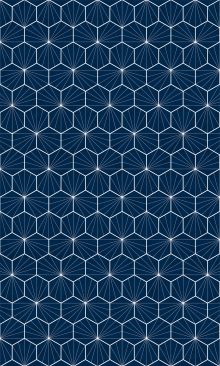 Crédence Carreaux de ciment hexagonaux