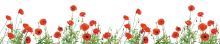 Crédence Coquelicots Fond blanc