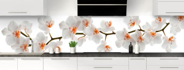Crédence zen avec une photo d'une orchidée phalaenopsis aux fleurs blanches